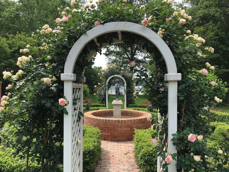 Fences & Arbors